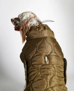 Doudoune Très Chaude Pour Chien -Chats Chiens Produits Magasin 1207150261911 04 1080x1320 494822d2 a148 4476 9b9f 83493ca2541f