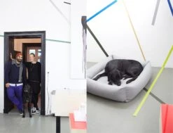 Panier Pour Chien Tweed Gris Clair Sleepy Deluxe -Chats Chiens Produits Magasin 14 Julia Ali Mogli Cloud7 Dog Bed Sleepy Deluxe