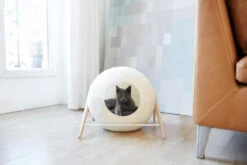La Ball Meyou -Chats Chiens Produits Magasin 150803 03 007