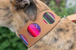 Collier Pour Chien Cuir Et Tissu Inca Pink -Chats Chiens Produits Magasin 190517 Hiro Wolf Dumpton Gap May 19 08133 445x297 e0a59ce2 916f 4bf4 9cb8 7a77f000d292