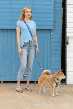 Laisse Inca Blue 8 Laisse Inca Blue -Chats Chiens Produits Magasin 190517 Hiro Wolf Dumpton Gap May 19 0110 1024x1024 895ca5a0 365e 4936 a3ad 0b47b8f93e98