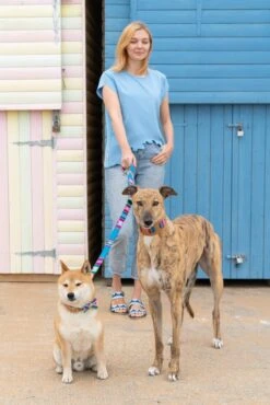 Laisse Inca Blue 9 Laisse Inca Blue -Chats Chiens Produits Magasin 190517 Hiro Wolf Dumpton Gap May 19 0158 1024x1024 909aa1fe 06d8 47bb b138 d008adbd890f