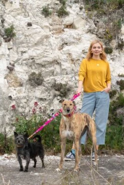 Laisse Inca Pink 9 Laisse Inca Pink -Chats Chiens Produits Magasin 190517 Hiro Wolf Dumpton Gap May 19 0805 1024x1024 e93fd0c0 164c 4340 8d32 1c18bbfb3755