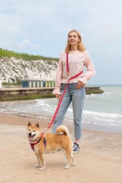 Laisse Shuka Red Tartan 6 Laisse Shuka Red Tartan -Chats Chiens Produits Magasin 190517 Hiro Wolf Dumpton Gap May 19 1218 1024x1024 73028475 ce69 4ec8 8e61 75e5d671fb3e