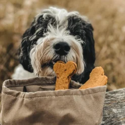 Bol De Voyage Pour Chien Pliable Melo Band & Roll -Chats Chiens Produits Magasin 244670726 2962370393975649 4449451581056655728 n