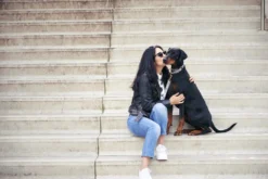 Collier Pour Chien Out Of My Box (2 Couleurs) 7 Collier Pour Chien Out Of My Box (2 Couleurs) -Chats Chiens Produits Magasin Anne Timmer seescoutsleep 230