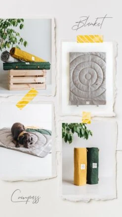 Matelas De Voyage Pour Chien Enroulable Compass Band & Roll -Chats Chiens Produits Magasin Blanket Compass 720x da4f3e9e f6b1 47d1 8428 b3ce94ab3a54