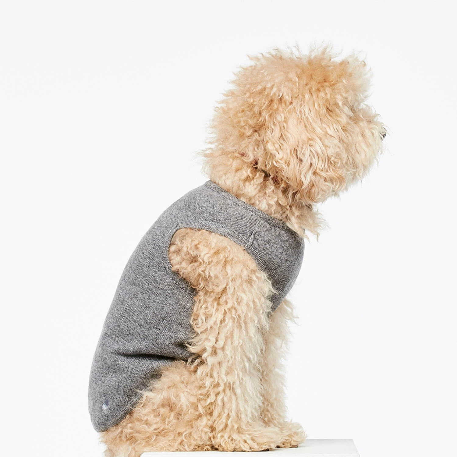 Pull Fin Pour Chien Agnes 2 Pull Fin Pour Chien Agnes – Image 2