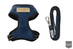 Harnais Candy Avec Laisse -Chats Chiens Produits Magasin BowlAndBone Republic harness for dog CANDY set blue PS1S