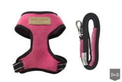 Harnais Candy Avec Laisse -Chats Chiens Produits Magasin BowlAndBone Republic harness for dog CANDY set pink PS1S