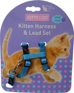 Harnais Et Laisse à Pois Pour Chaton -Chats Chiens Produits Magasin CH4202 Spotty Blue Kitten Harness LR
