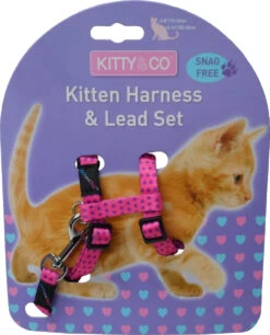 Harnais Et Laisse à Pois Pour Chaton -Chats Chiens Produits Magasin CH4202 Spotty Pink Kitten Harness LR