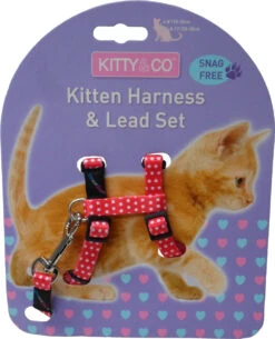 Harnais Et Laisse à Pois Pour Chaton -Chats Chiens Produits Magasin CH4202 Spotty Red Kitten Harness LR 1