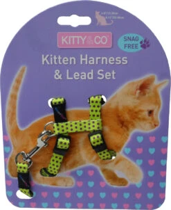Harnais Et Laisse à Pois Pour Chaton -Chats Chiens Produits Magasin CH4202 Spotty Yellow Kitten Harness LR