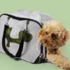 Sac De Transport Pour Petit Chien Mesh