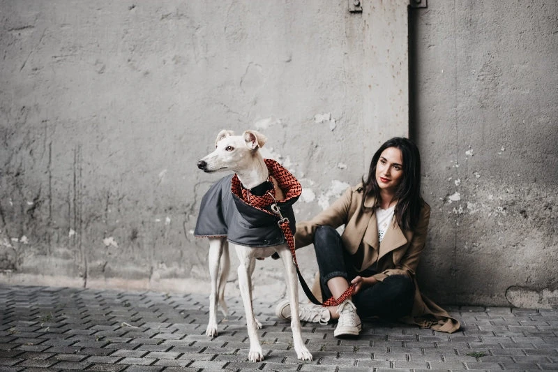 Manteau Pour Lévriers 4 Manteau Pour Lévriers – Image 4