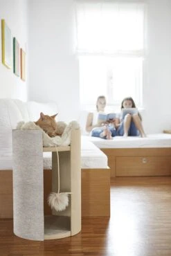 Coussin Pour Chat Pour Arbre à Chat Torre 14 Coussin Pour Chat Pour Arbre à Chat Torre -Chats Chiens Produits Magasin ClimbTorre4 6beffce6 23c8 4b67 8ea6 14706e5e3fca