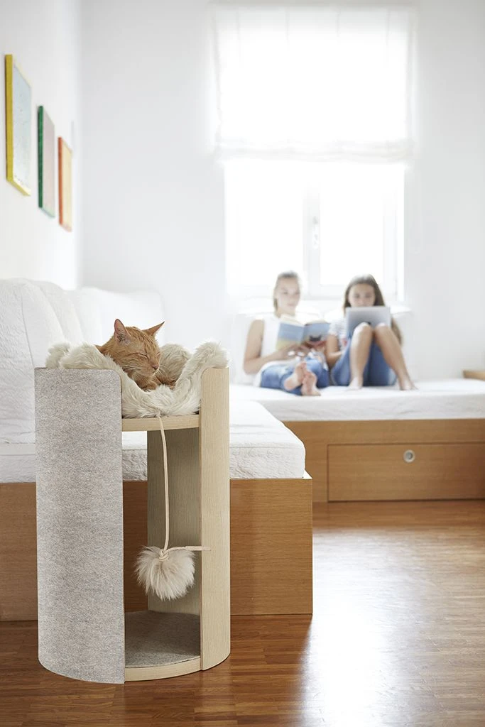 Coussin Pour Chat Pour Arbre à Chat Torre 7 Coussin Pour Chat Pour Arbre à Chat Torre – Image 7