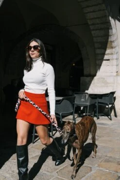 Collier Pour Chien Riells 7 Collier Pour Chien Riells -Chats Chiens Produits Magasin DSC5857 copie