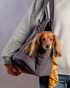 Sac De Transport Pour Chien (max 15kg) 17 Sac De Transport Pour Chien (max 15kg) -Chats Chiens Produits Magasin Dog Co 1C5A2503 1024x1024 ec76c171 e2f0 4f46 aef7 454befbacd88