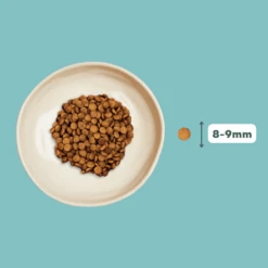 Croquettes Chat Stérilisé Sans Céréales Au Saumon -Chats Chiens Produits Magasin Fichesproduits 31