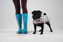 Manteau Pour Petit Chien -Chats Chiens Produits Magasin GetAttachmentThumbnail d554b13a bc53 4bb6 8dcf 4eaef44db8c7