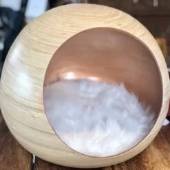 Dandy Ball -Chats Chiens Produits Magasin Golden22Mo jpg