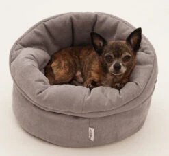 Panier Polyvalent Shopper -Chats Chiens Produits Magasin Hundekoerbchen Little Basket 2