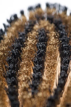 Brosse Pour Poils Courts Lila Loves It -Chats Chiens Produits Magasin Lila loves it 66