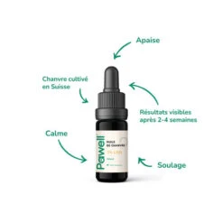 Huile De CBD Pour Chien 2,5%, 5%, 7% 6 Huile De CBD Pour Chien 2,5%, 5%, 7% -Chats Chiens Produits Magasin MC H2 500x c2e997c6 6b53 4123 aab3 9af63c83a97e