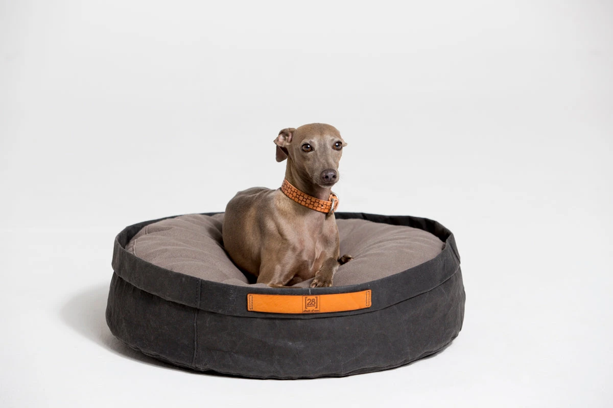 Coussin Pour Chat Et Chien Irvin (3 Couleurs) 9 Coussin Pour Chat Et Chien Irvin (3 Couleurs) – Image 9