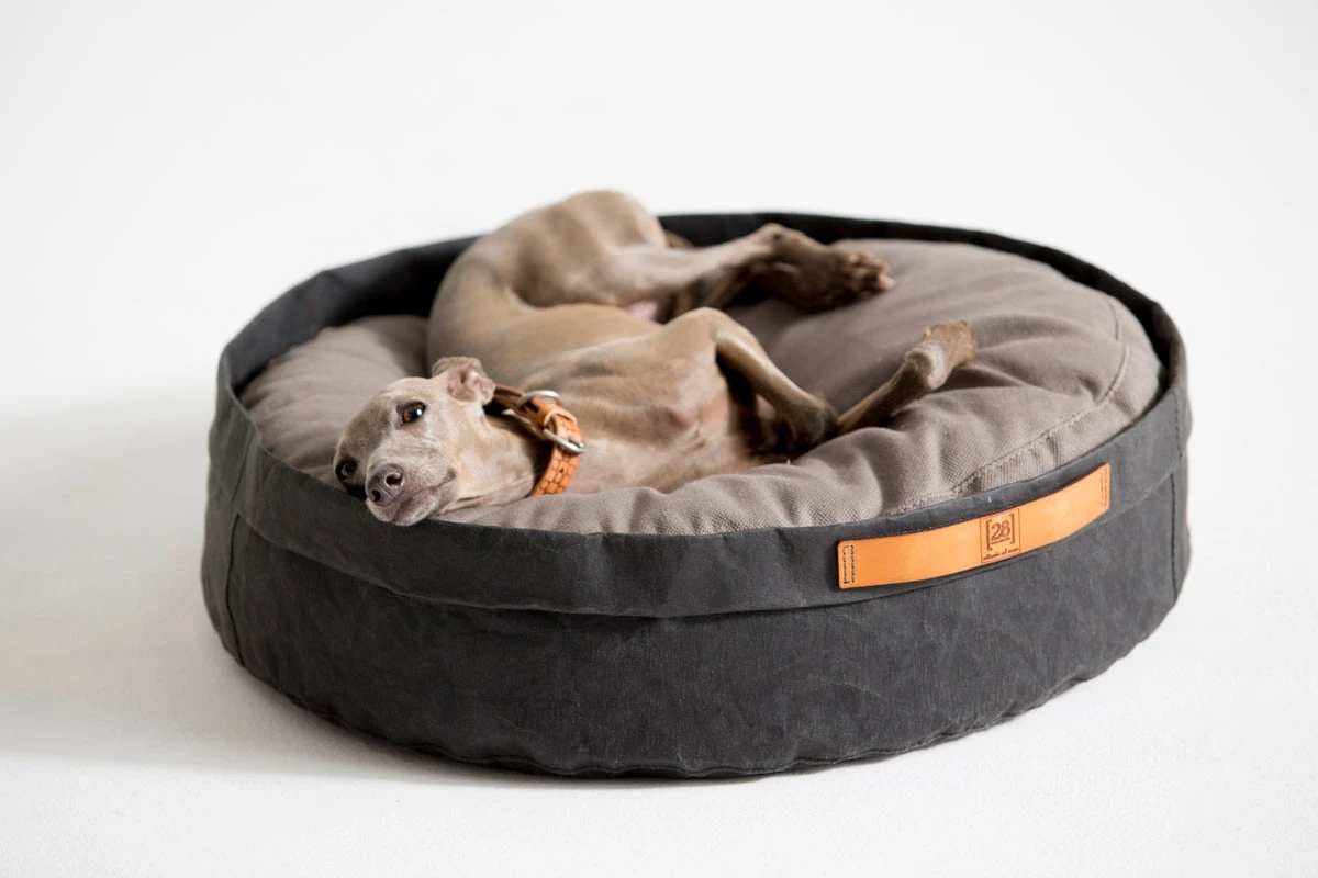 Coussin Pour Chat Et Chien Irvin (3 Couleurs) 11 Coussin Pour Chat Et Chien Irvin (3 Couleurs) – Image 11