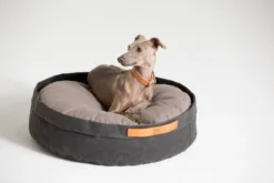 Coussin Pour Chat Et Chien Irvin (3 Couleurs) 23 Coussin Pour Chat Et Chien Irvin (3 Couleurs) -Chats Chiens Produits Magasin MG 0840