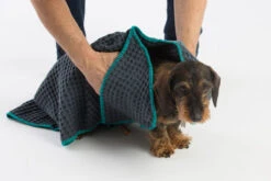 Serviettes Absorbante Sally -Chats Chiens Produits Magasin MG 8502