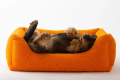 Panier Henri En Laine Casentino Duepuntootto 14 Panier Henri En Laine Casentino Duepuntootto -Chats Chiens Produits Magasin MG 8704