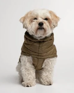 Doudoune Très Chaude Pour Chien -Chats Chiens Produits Magasin MG 9311 1440x1800 70cf0f99 97bd 4550 9c67 7d66a2f5952b