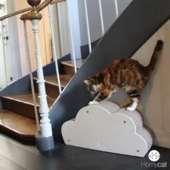 Griffoir Pour Chat Nuage Homycat -Chats Chiens Produits Magasin MIRAKL 80219086 1