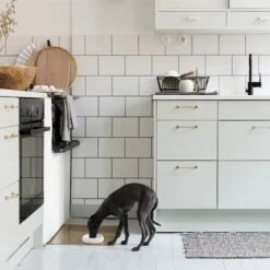 Bol Pour Chien Design Nordique Ole Hyvä -Chats Chiens Produits Magasin Ole hyva dog ceramic bowl for tiny dogs