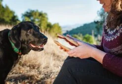 PLAY Peluche Pour Chien Sandwich Gimme S'mores 6 PLAY Peluche Pour Chien Sandwich Gimme S'mores -Chats Chiens Produits Magasin PLAY LC 0971 web