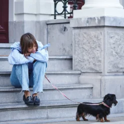 Collier Pour Chien Chef L’Bark Rouge Et Crème 5 Collier Pour Chien Chef L’Bark Rouge Et Crème -Chats Chiens Produits Magasin Scene CheflBark Firered 07