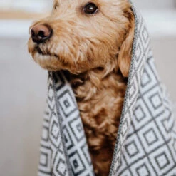 Serviette Absorbante Linaa -Chats Chiens Produits Magasin Soft bamboo fabric dog towel 5 600x600 1