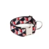 Collier Pour Chien Riells
