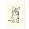 Affiche Décorative A4 Chaton