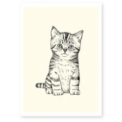 Affiche Décorative A4 Chaton