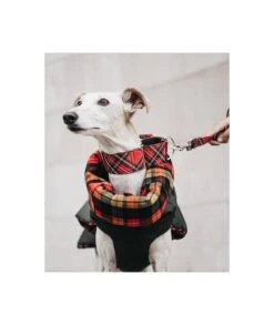 Manteau D'hiver Pour Lévriers -Chats Chiens Produits Magasin abrigo para galgo de cuadros tartan de color naranja b0531385 3054 4baa 8039 25d6d8145021