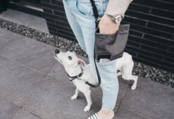 Sac à Récompenses Lupo Miacara 12 Sac à Récompenses Lupo Miacara -Chats Chiens Produits Magasin banu whippet 05