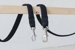 Laisse Destroyer - Basic -Chats Chiens Produits Magasin bbe331 8d2771ce14714c5584dfbad81b7c3b64 mv2 9d863660 5d59 4808 84b9 abec84e3ce94