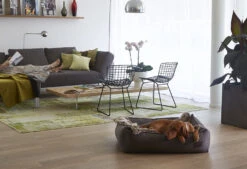 Couverture Plaid Pour Chat Lana -Chats Chiens Produits Magasin bermueller 1 3603