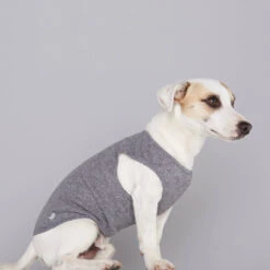 Pull Fin Pour Chien Agnes 5 Pull Fin Pour Chien Agnes -Chats Chiens Produits Magasin body agnes 1