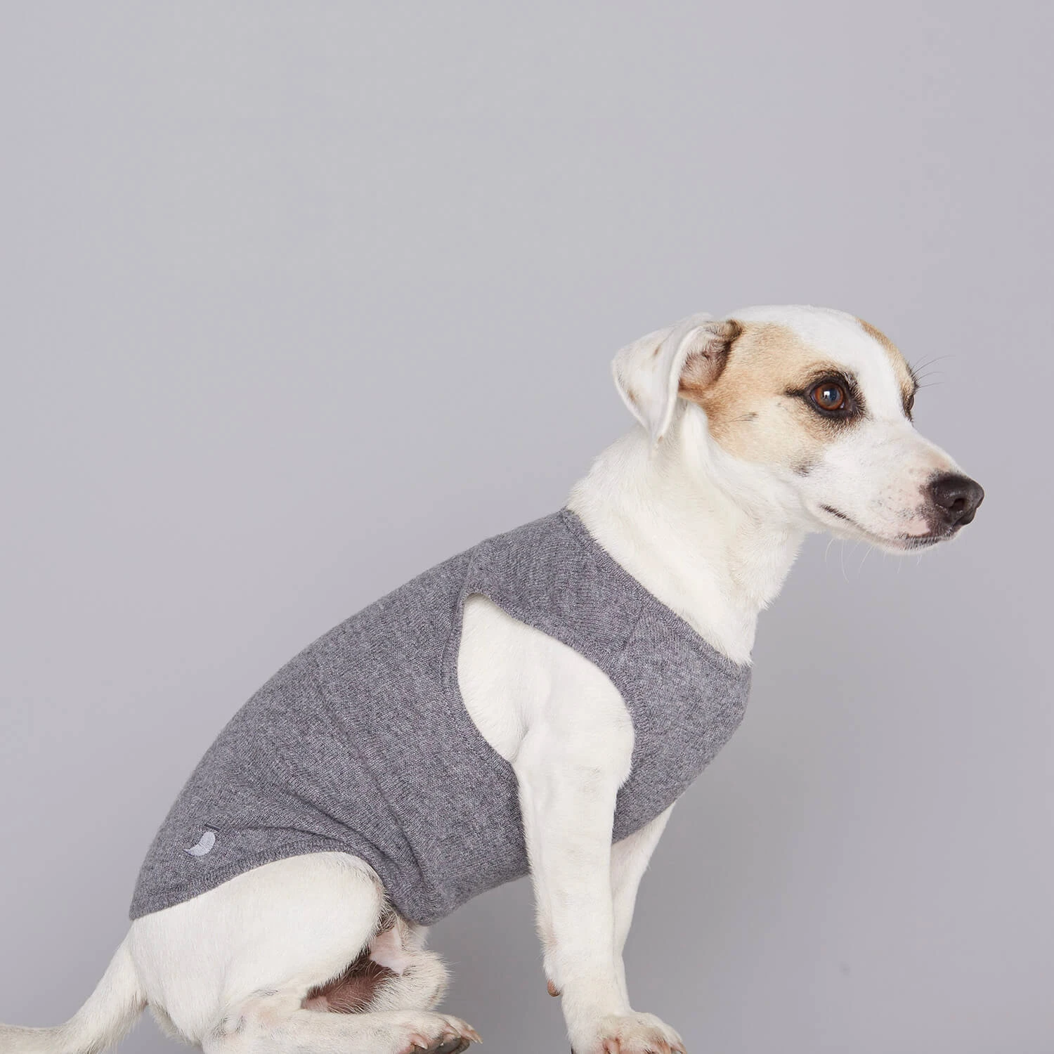 Pull Fin Pour Chien Agnes 3 Pull Fin Pour Chien Agnes – Image 3